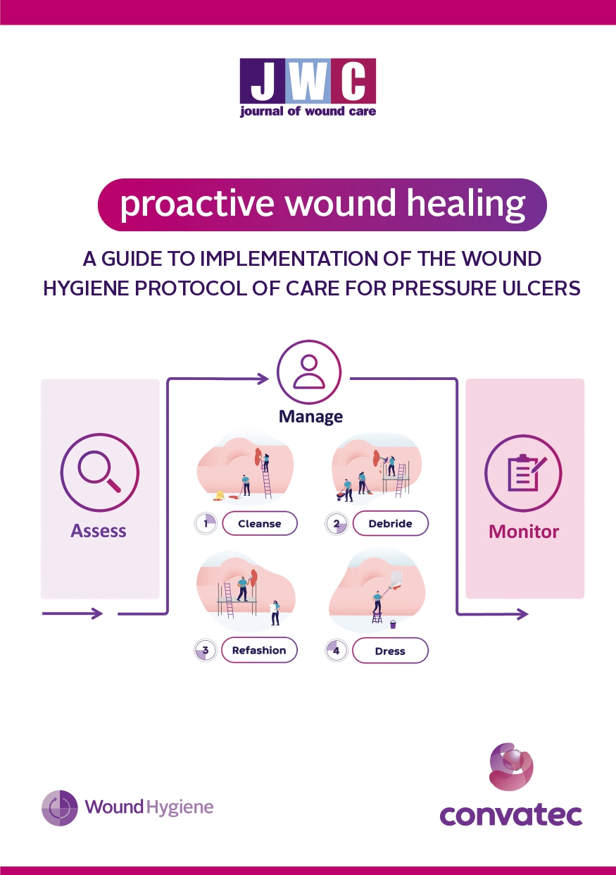 A guide to implementation of the wound hygiene protocol of care for pressure ulcers