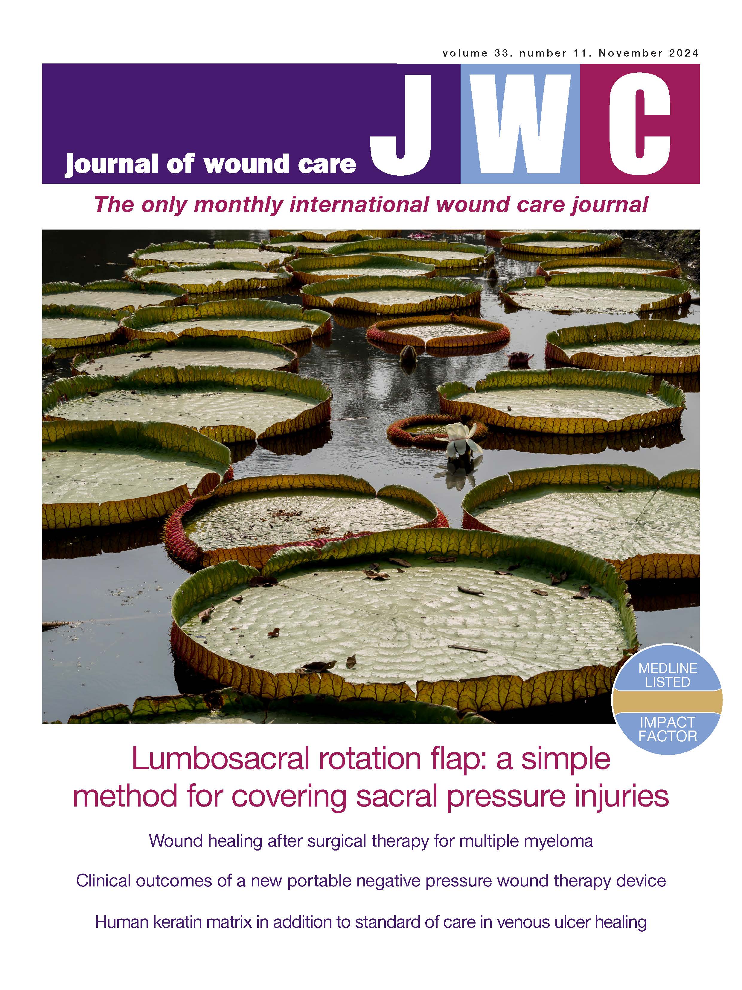 Journal of Wound Care