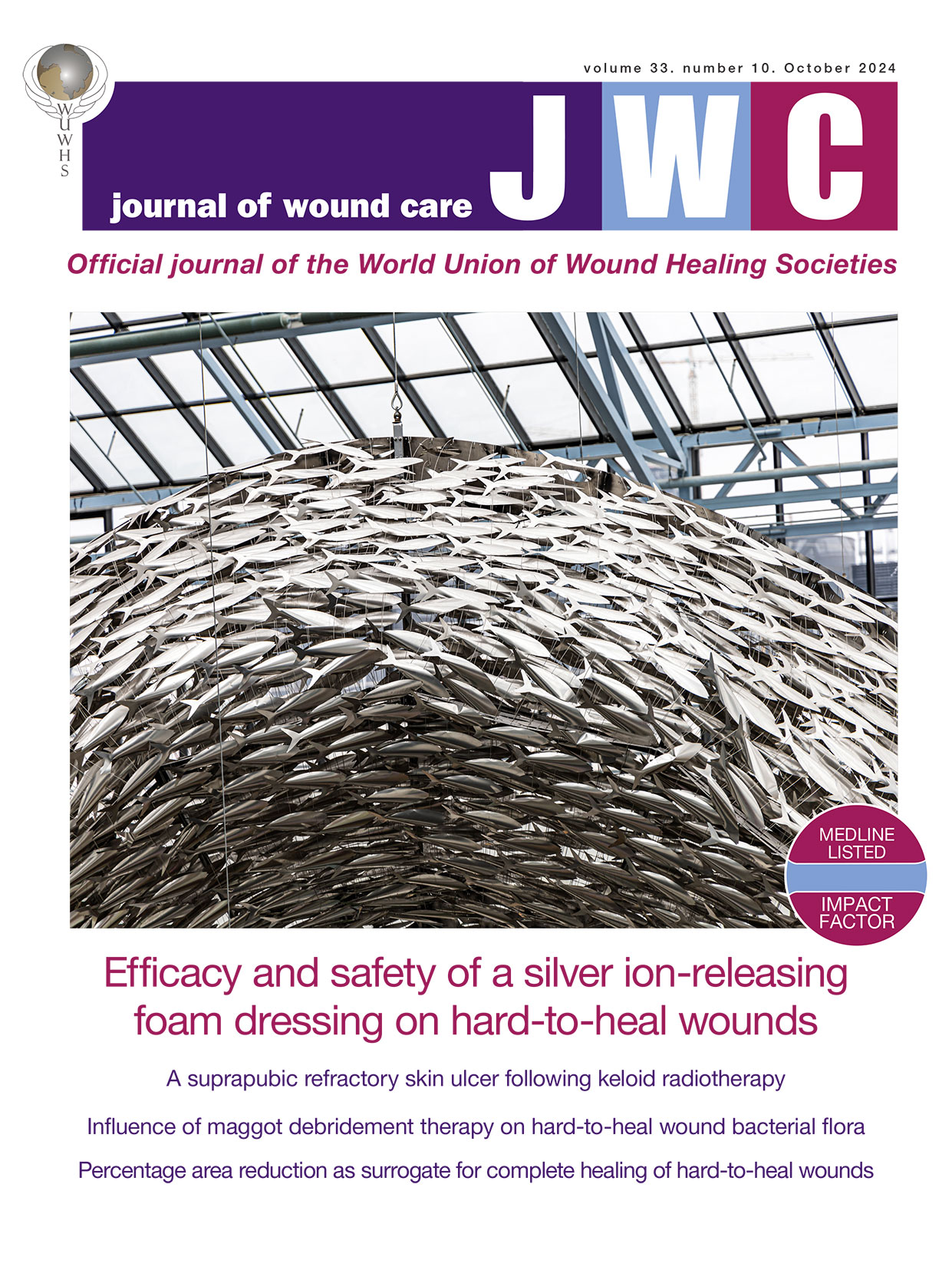 Journal of Wound Care