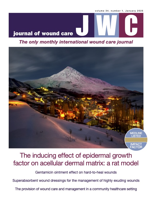 Journal of Wound Care